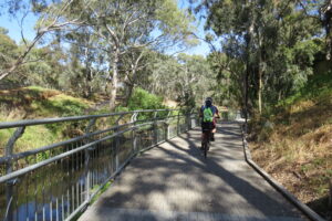 Elevated trail above the River Torrens at Walkerville [2024]