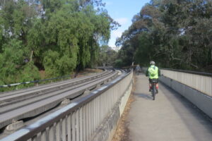Trail adjacent to the O-Bahn at Joslin [2024]