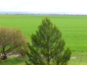 View from the Wool Trail Sep 25