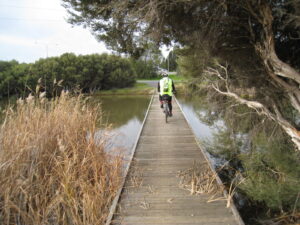 Crossing a wetland near the Gawler Line at Wingfield [2023]