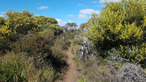 Typical scenery near Youngs Siding east of Wilsons Inlet (Garry Long 2018)