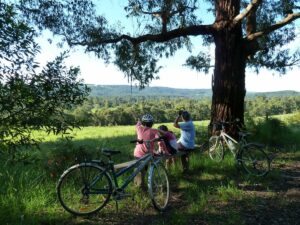 Resting on the first hill after Gellibrand, where there are gates [2011]