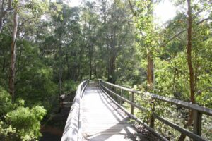 North of Margaret River 2006