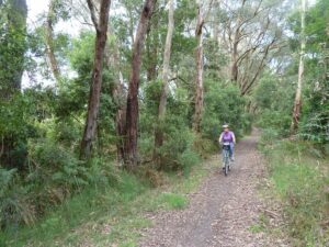 Between Kawarren and Gellibrand, the trail runs close to the road [2011]