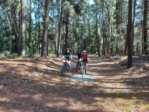 Nice shade in Recreation Rd Bushland Reserve, Mount Clear [2023]