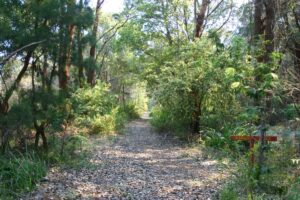 The trail at Bow River (2006)