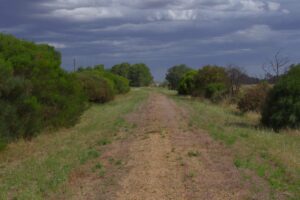 Gladstone to Laura [2011]