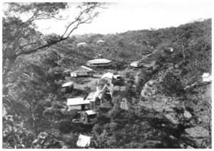 Stannary Hills railway yards circa early 1900's