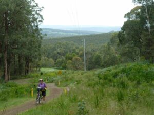 Steep bypass of Birnam Station site heads west on powerline easement [2011]