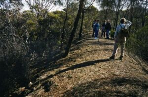 Walkers on the trail in 2002 Ann Williams