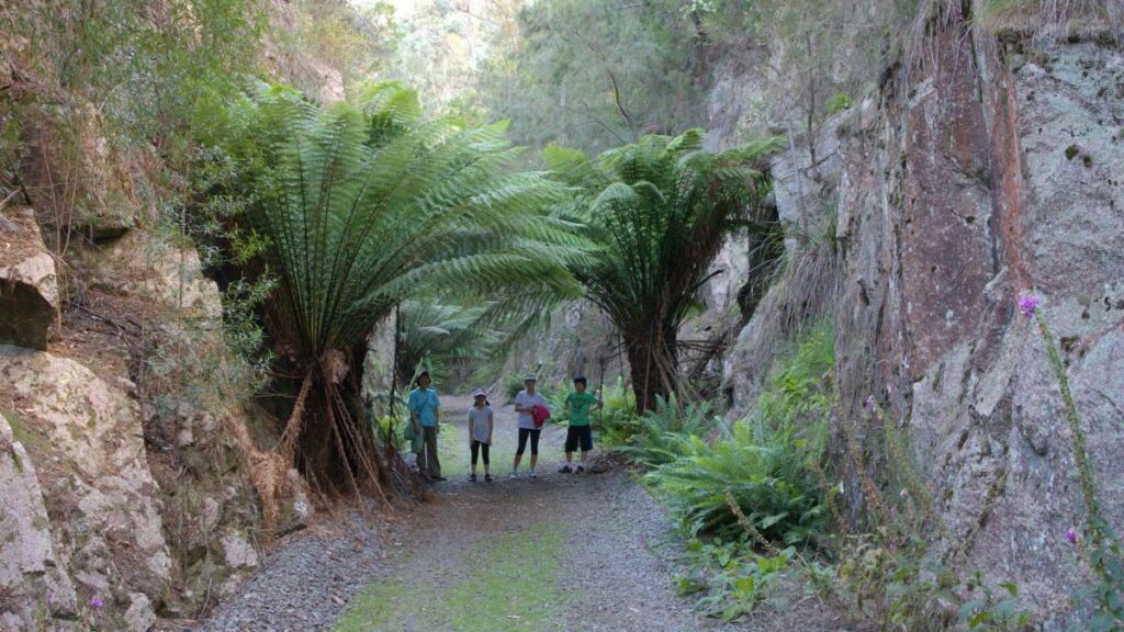 North-East Tasmania Rail Trail