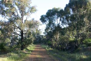 Relaxing views on the trail