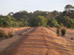 Some locals on the trail south of Margaret River 2009