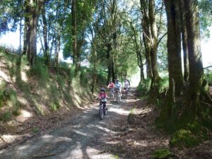 Between McDevitt and Dinmont [2011]