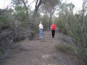 On the trail near Kundip