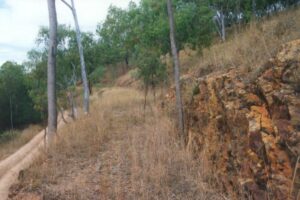 Current condition of the old railway formation.