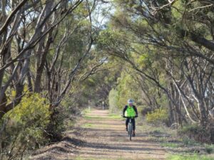 Loose gravel section, of which there are numerous of the trail