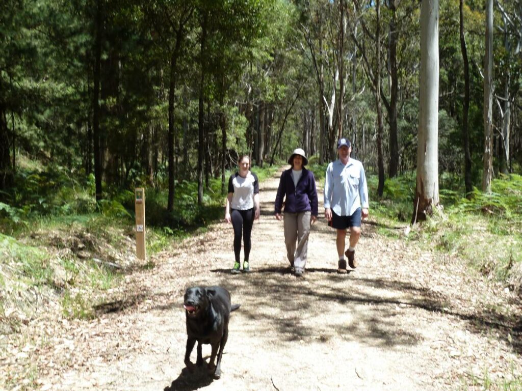Woodend to Daylesford (incl Domino) Rail Trail