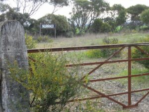Nurragi Station site [2006]