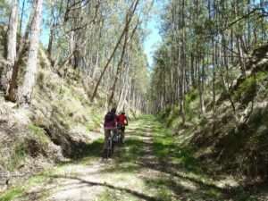 Picturesque cutting before Lyonville (2013)
