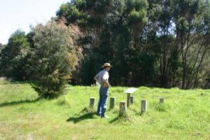The Rail Trail Terminus at Nornalup (2006)