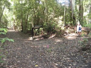 A resting spot in the sun at Mons Station site