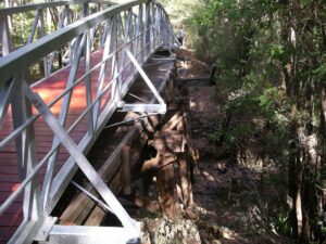 North of Margaret River two new bridges have been built over the timber rail bridges so they can be retained 2009