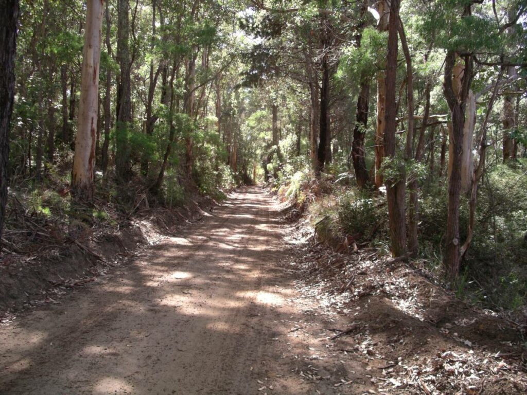 Torbay to Elleker Rail Trail