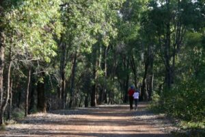 The Gladstone Road section of the rail trail.