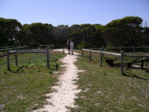 The Hopetoun Railyard