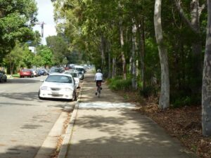 Cycleway along Railway Tce near Merrylands (Apr 2015)