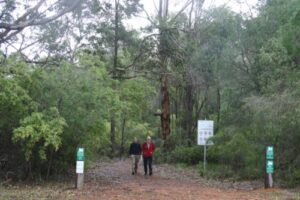 On the trail, north of Gnarawary Rd