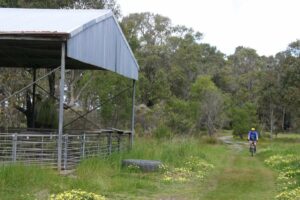 The trail near Cowaramup 2006