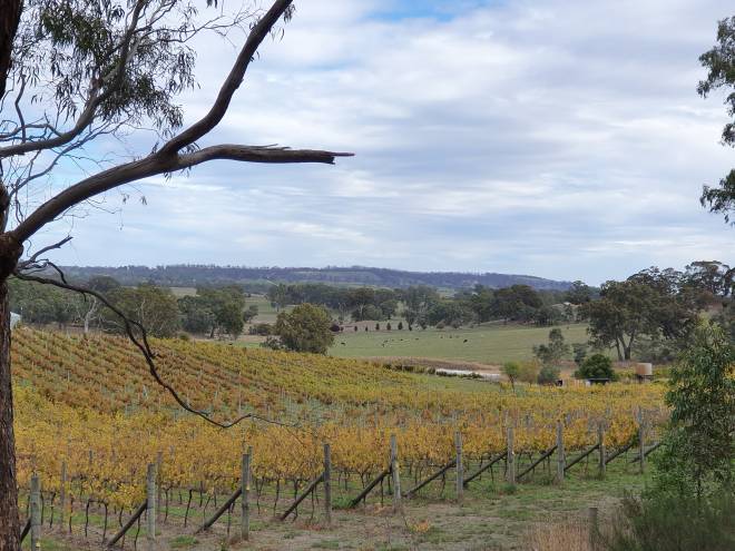 Extension of Adelaide Hills Amy Gillett Rail Trail in South Australia