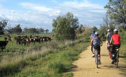 Gippsland Plains Rail Trail Community Meetings – UPDATED