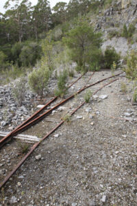 Remains near Mystery Creek Cave