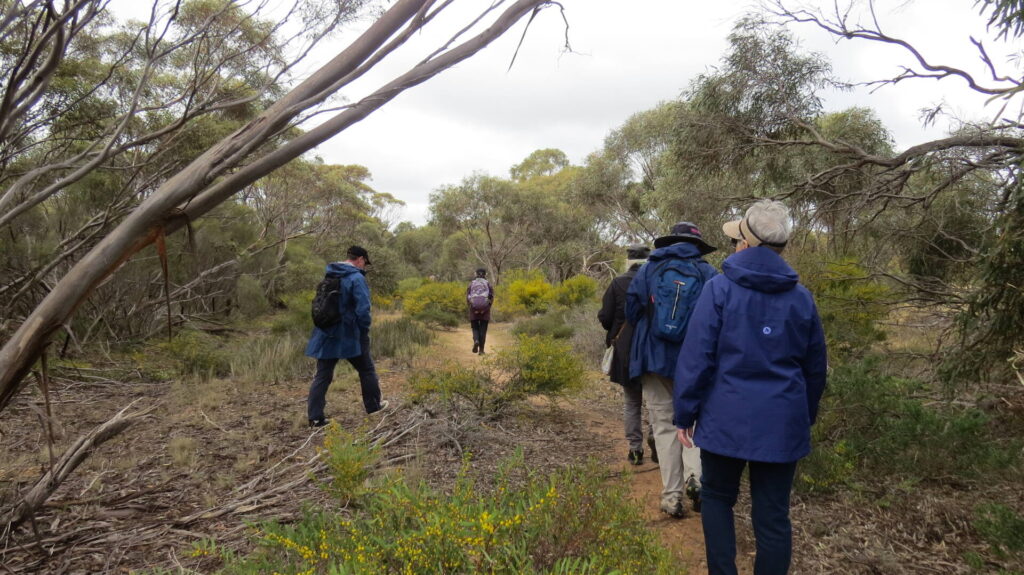 Nurragi Conservation Reserve rail trail