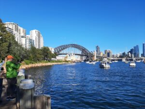 View from Lavender Bay