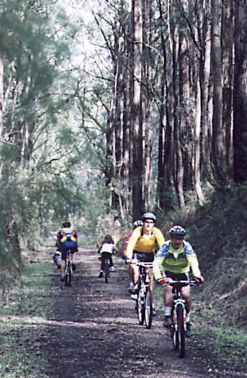 Report on Mirboo North Annual Ride