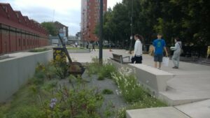 Looking north - the Goods Line, Sydney