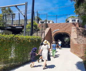 Tunnel under Davis St at Waratah Mills light rail station [2025]
