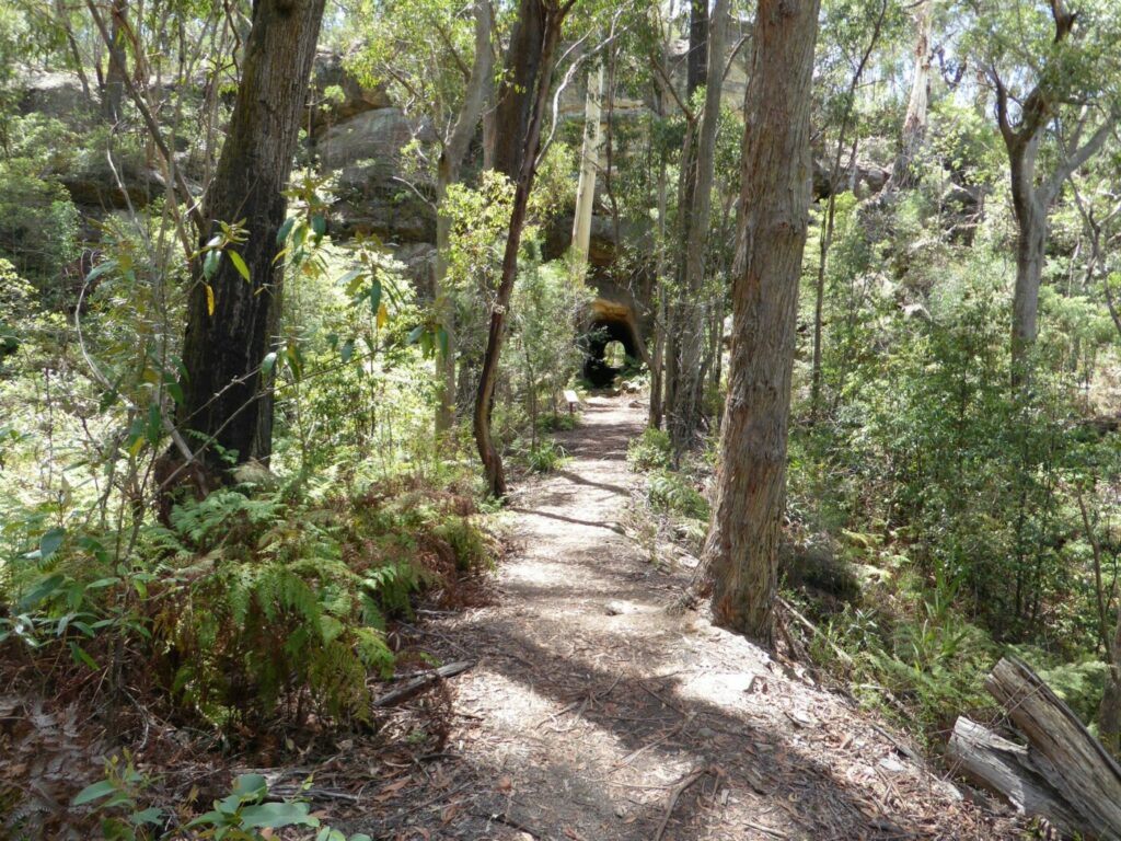Box Vale Tk rail trail