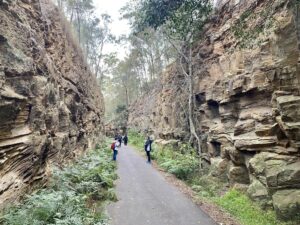 One of the deep zig zag cuttings near Knapsack Street [2025]