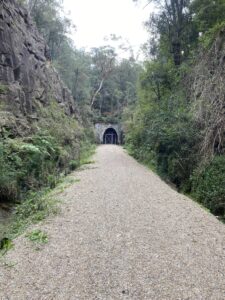 Glenbrook Tunnel's eastern portal after a tidy up of the access track [2025]