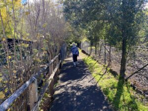 The bottom section of the path has been squeezed in next to the railway [2025]