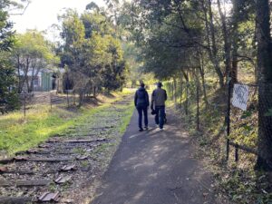 A short section of the railbed retained for your viewing pleasure [2025]