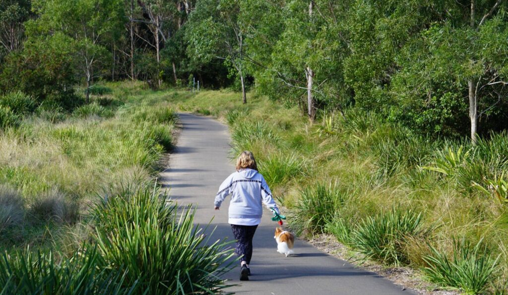 Mt Kembla Memorial Pathway rail trail