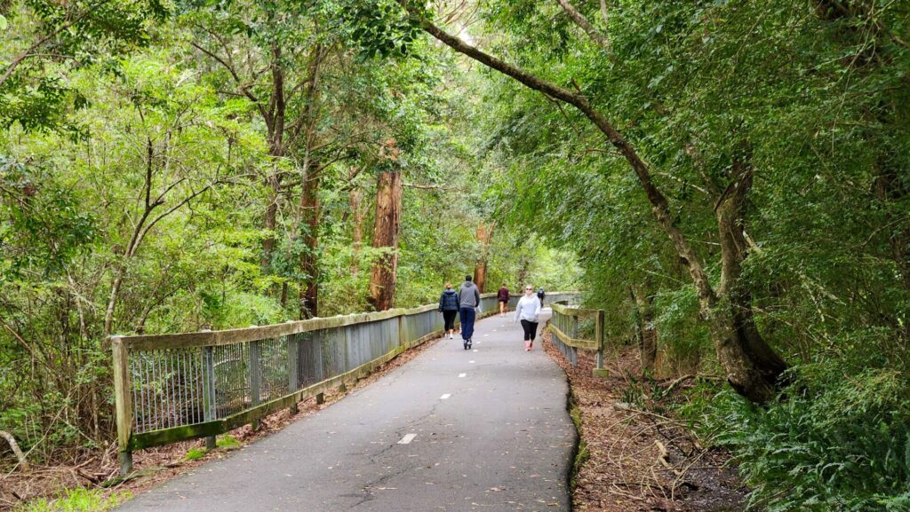 Fernleigh Track rail trail