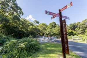 Lots of clear signage, here at Kahibah [2017]