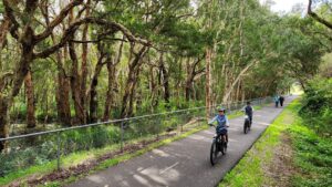 Jewells Wetlands between Redhead and Jewells [2024]